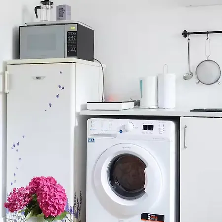 Authentic Interbelic In The Center 公寓