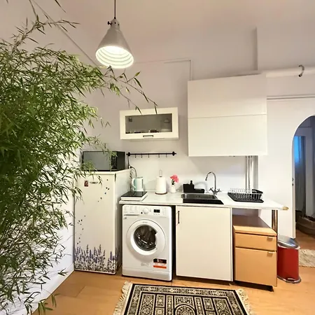 Apartment Authentic Interbelic In The Center *